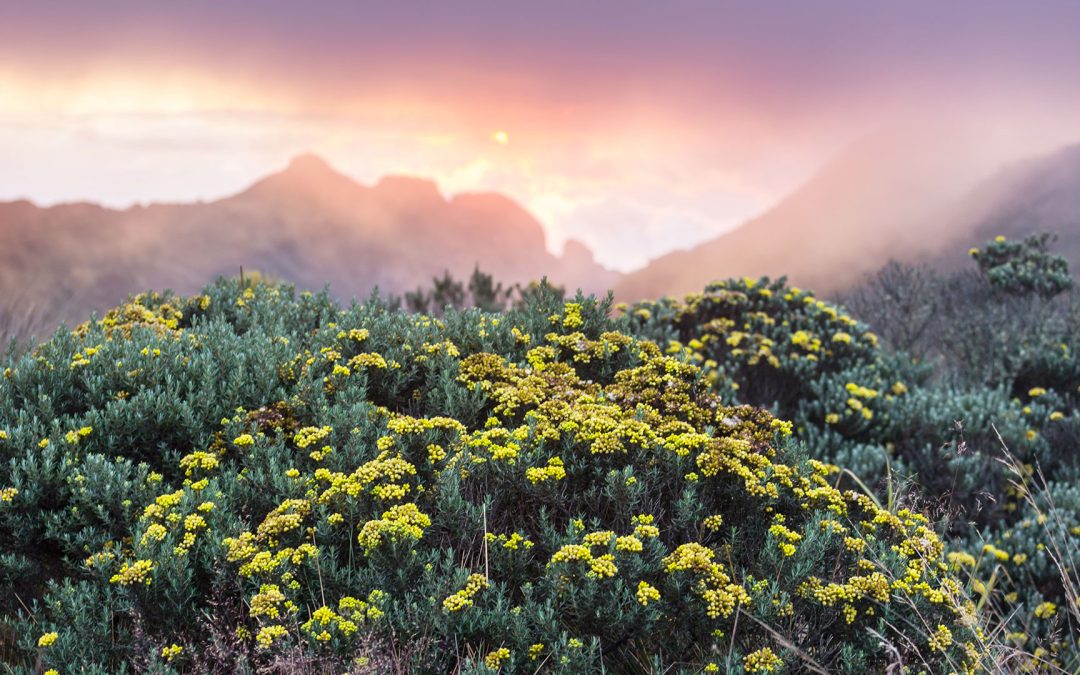 From Chance to Change: Why Every Non-Profit Needs a Theory of Change