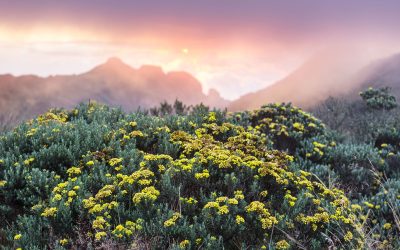 From Chance to Change: Why Every Non-Profit Needs a Theory of Change