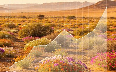 When Data Starts to Tell a Story